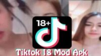 Download Link Gratik Tiktok 18+ Mod Apk New Update